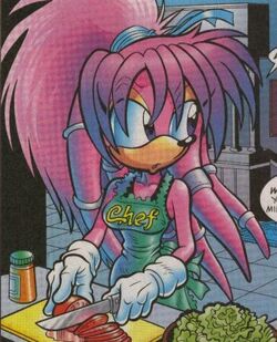 Julie-Su the Echidna, Sonic Fanon Wiki